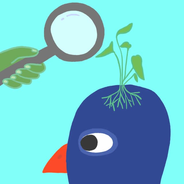 Illustration — Recherche & données