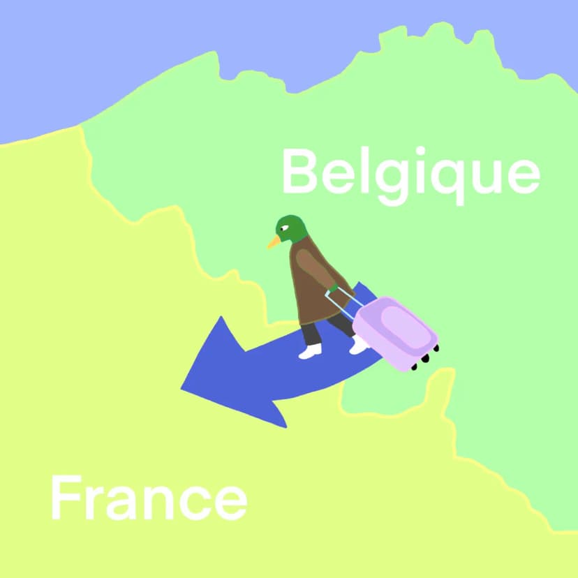 Recenser et réduire le placement d’enfants français en Belgique